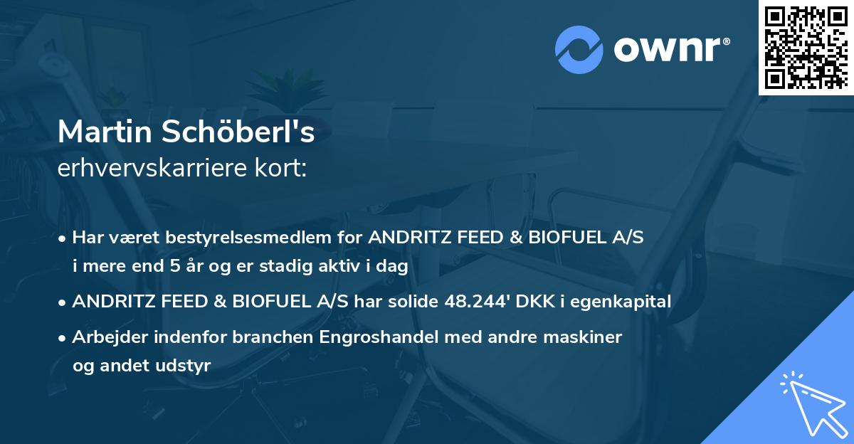 Martin Schöberl's erhvervskarriere kort