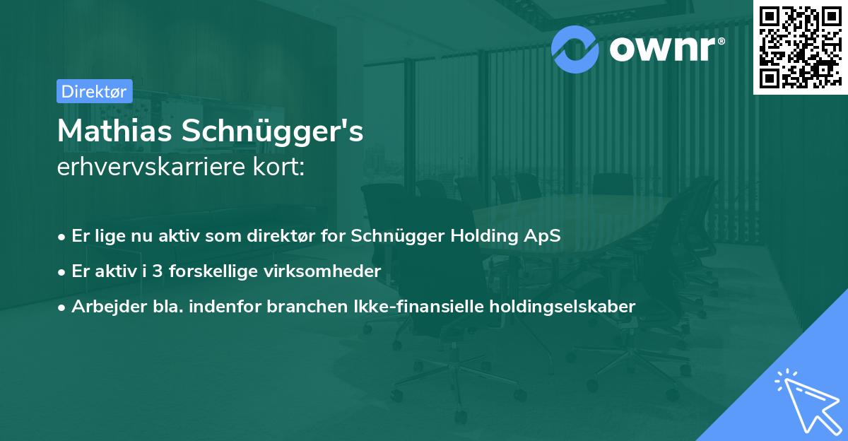 Mathias Schnügger's erhvervskarriere kort