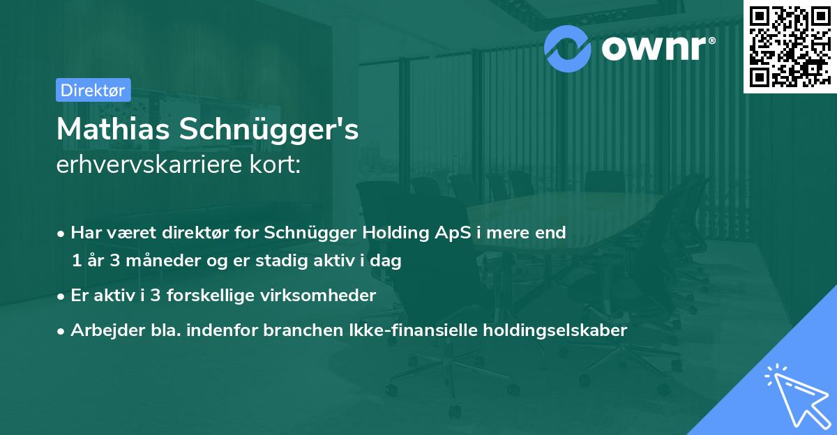 Mathias Schnügger's erhvervskarriere kort