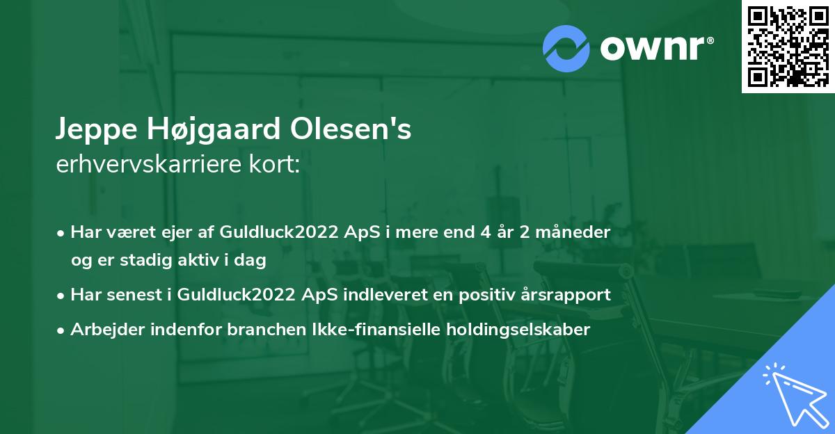 Jeppe Højgaard Olesen's erhvervskarriere kort