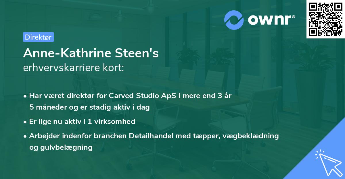 Anne-Kathrine Steen's erhvervskarriere kort