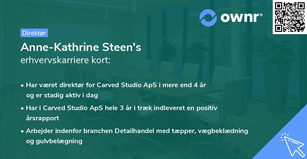 Anne-Kathrine Steen's erhvervskarriere kort