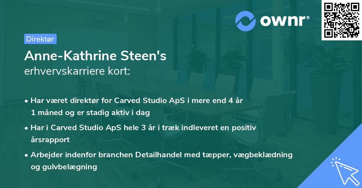 Anne-Kathrine Steen's erhvervskarriere kort