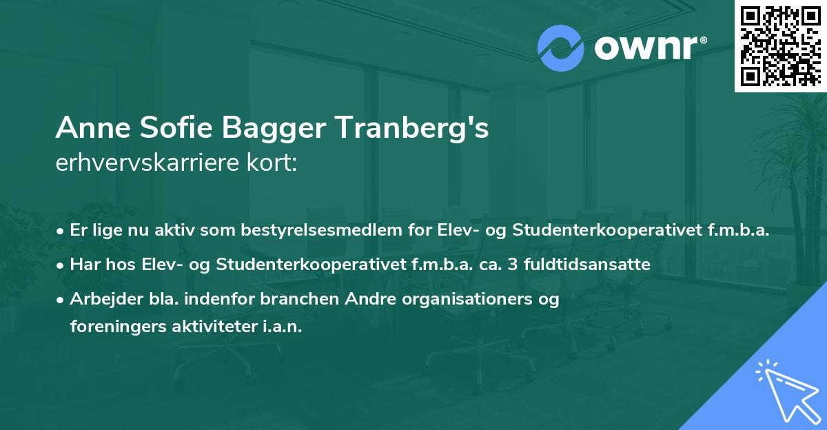 Anne Sofie Bagger Tranberg's erhvervskarriere kort