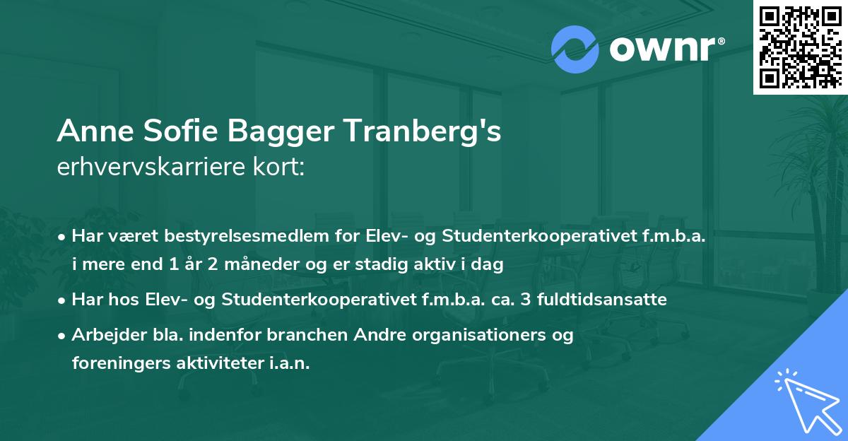 Anne Sofie Bagger Tranberg's erhvervskarriere kort