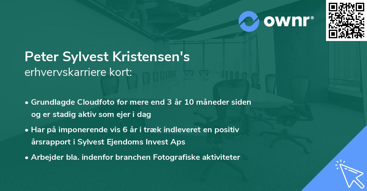 Peter Sylvest Kristensen's erhvervskarriere kort
