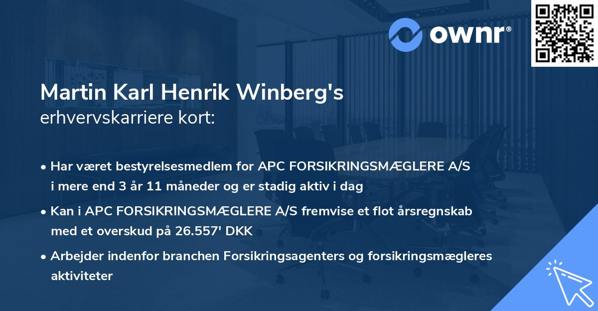 Martin Karl Henrik Winberg's erhvervskarriere kort