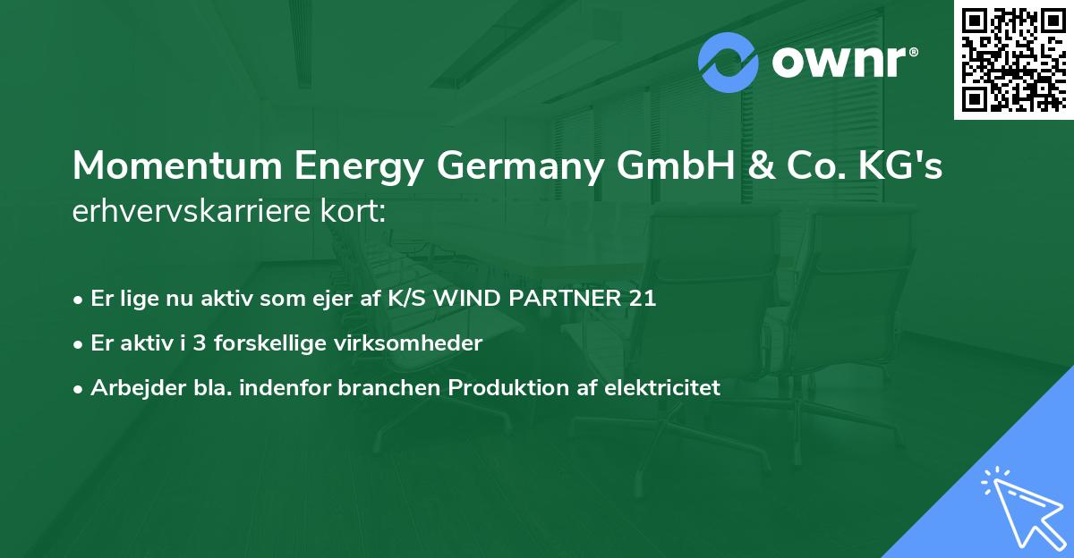 Momentum Energy Germany GmbH & Co. KG's erhvervskarriere kort