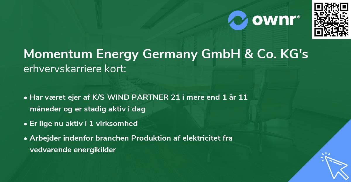 Momentum Energy Germany GmbH & Co. KG's erhvervskarriere kort