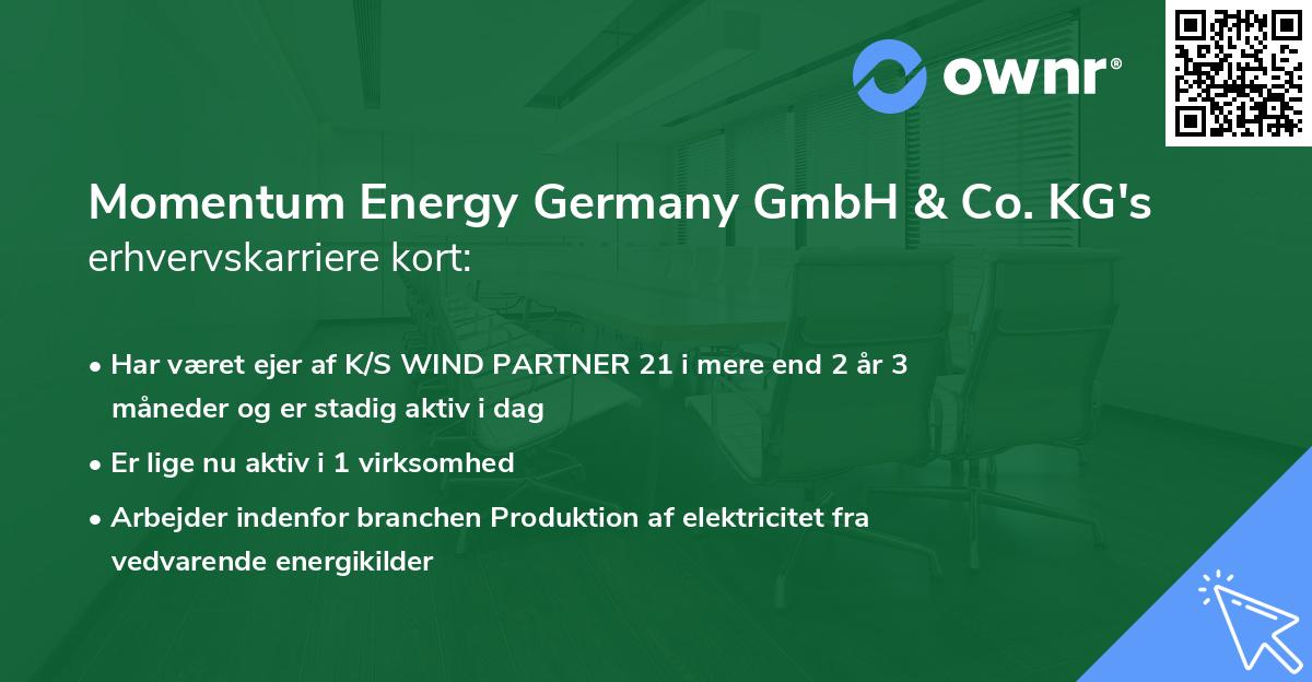 Momentum Energy Germany GmbH & Co. KG's erhvervskarriere kort