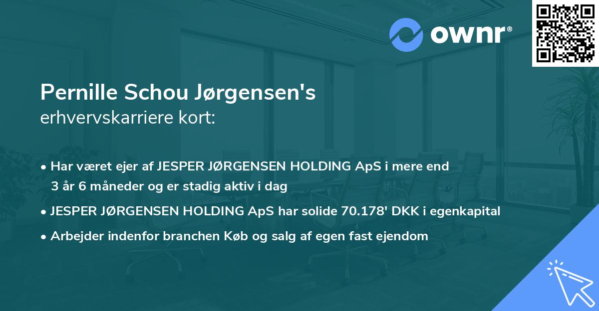 Pernille Schou Jørgensen's erhvervskarriere kort