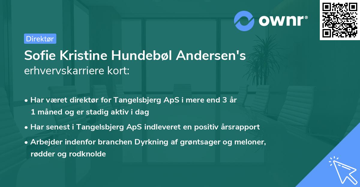 Sofie Kristine Hundebøl Andersen's erhvervskarriere kort