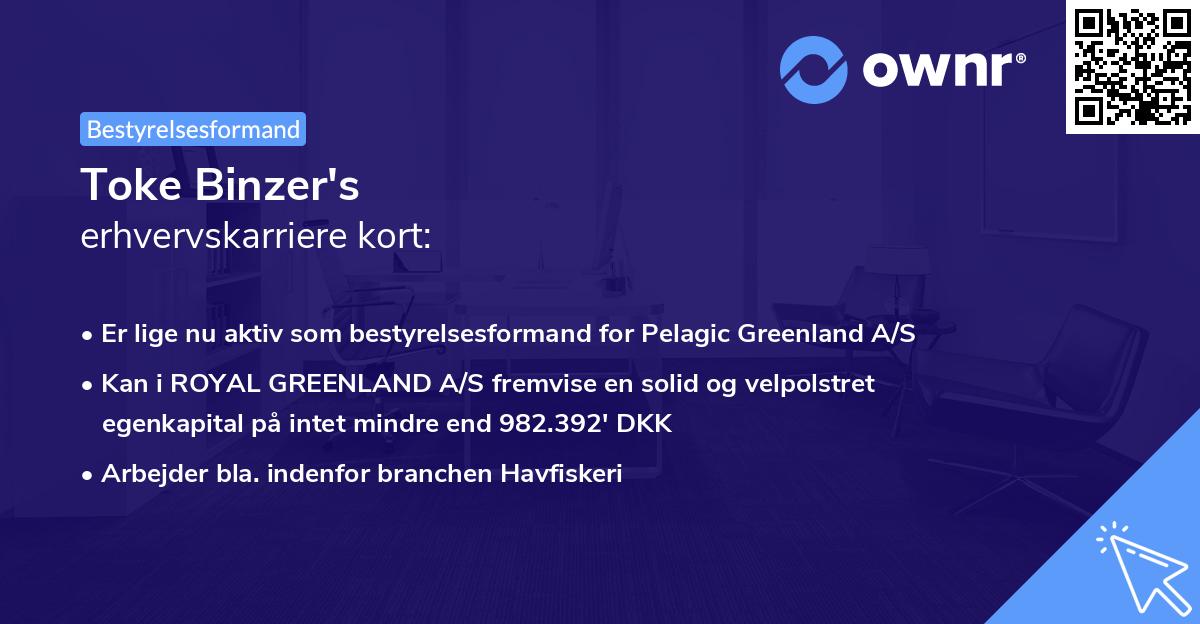 Toke Binzer's erhvervskarriere kort