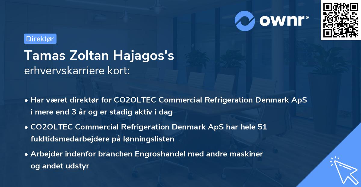 Tamas Zoltan Hajagos's erhvervskarriere kort
