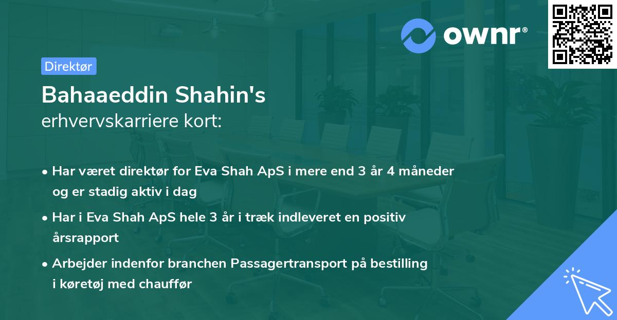Bahaaeddin Shahin's erhvervskarriere kort
