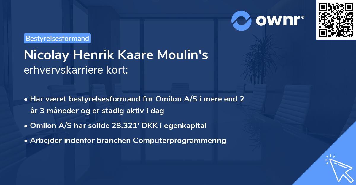 Nicolay Henrik Kaare Moulin's erhvervskarriere kort