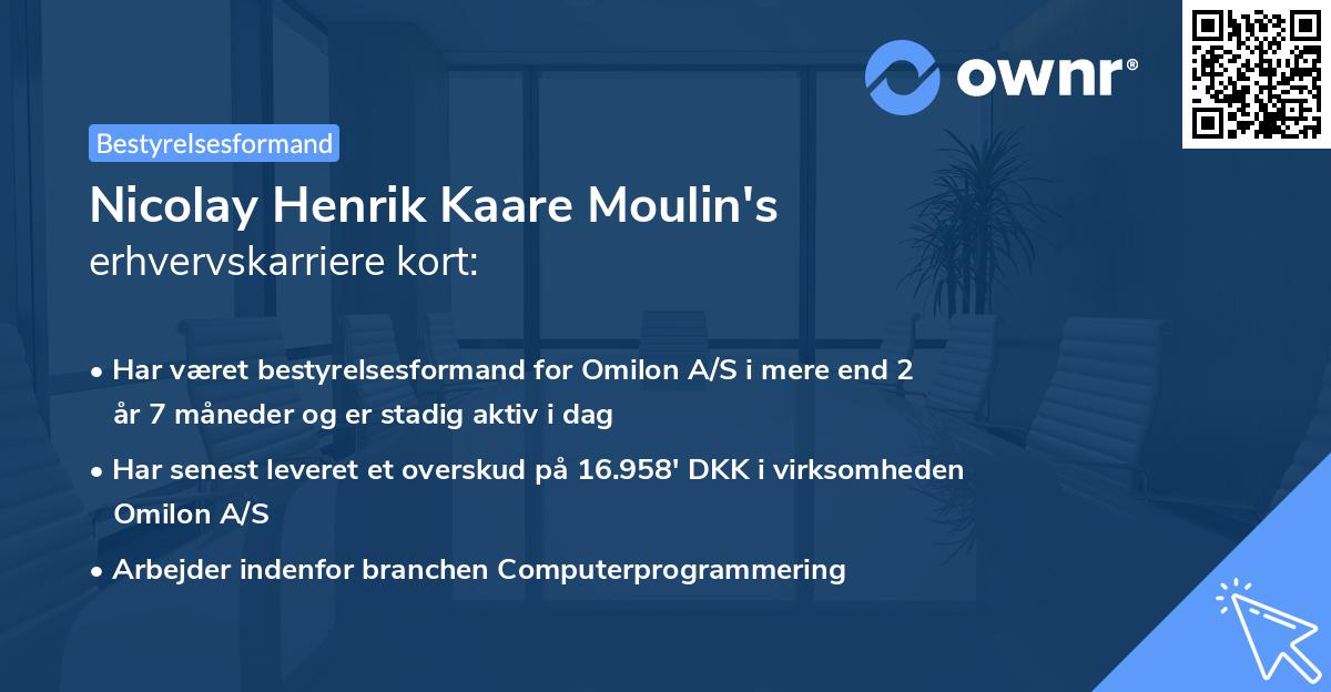 Nicolay Henrik Kaare Moulin's erhvervskarriere kort