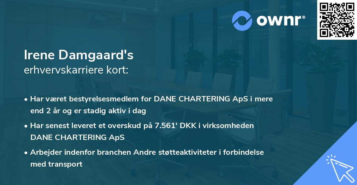 Irene Damgaard's erhvervskarriere kort