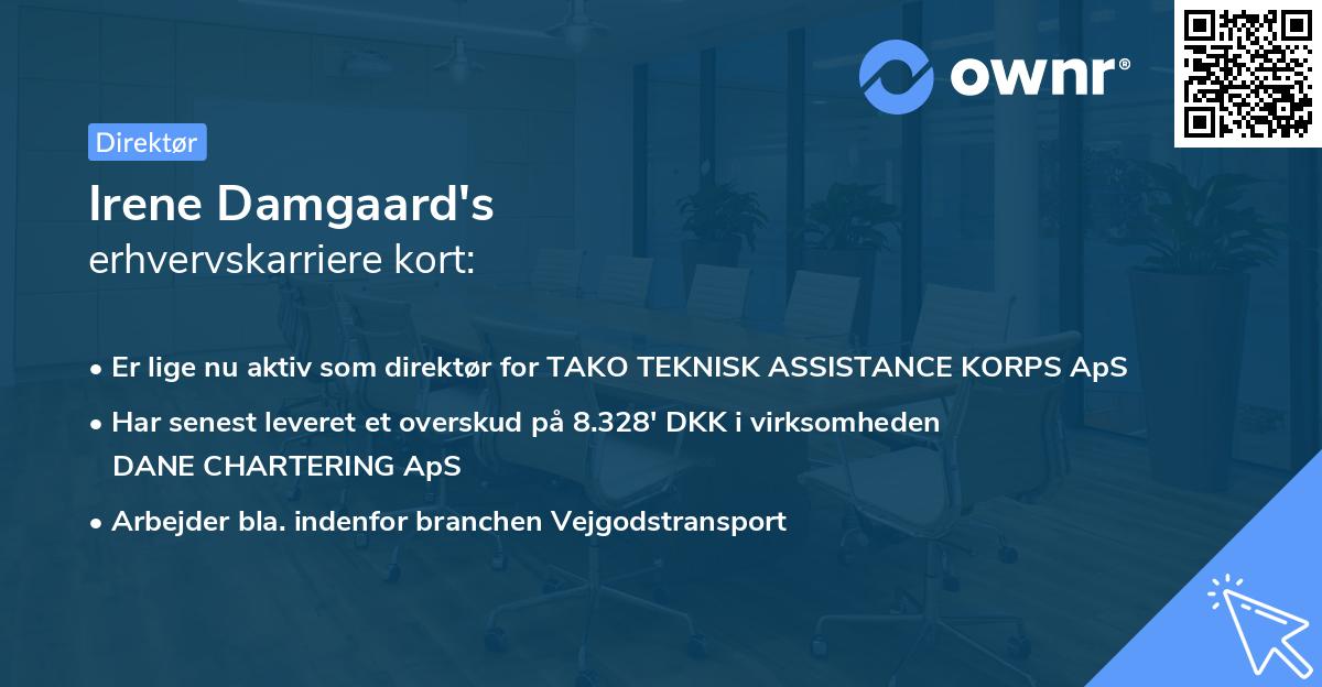 Irene Damgaard's erhvervskarriere kort