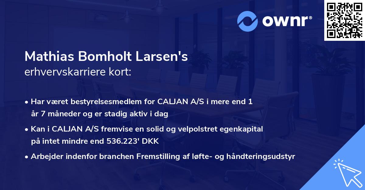 Mathias Bomholt Larsen's erhvervskarriere kort
