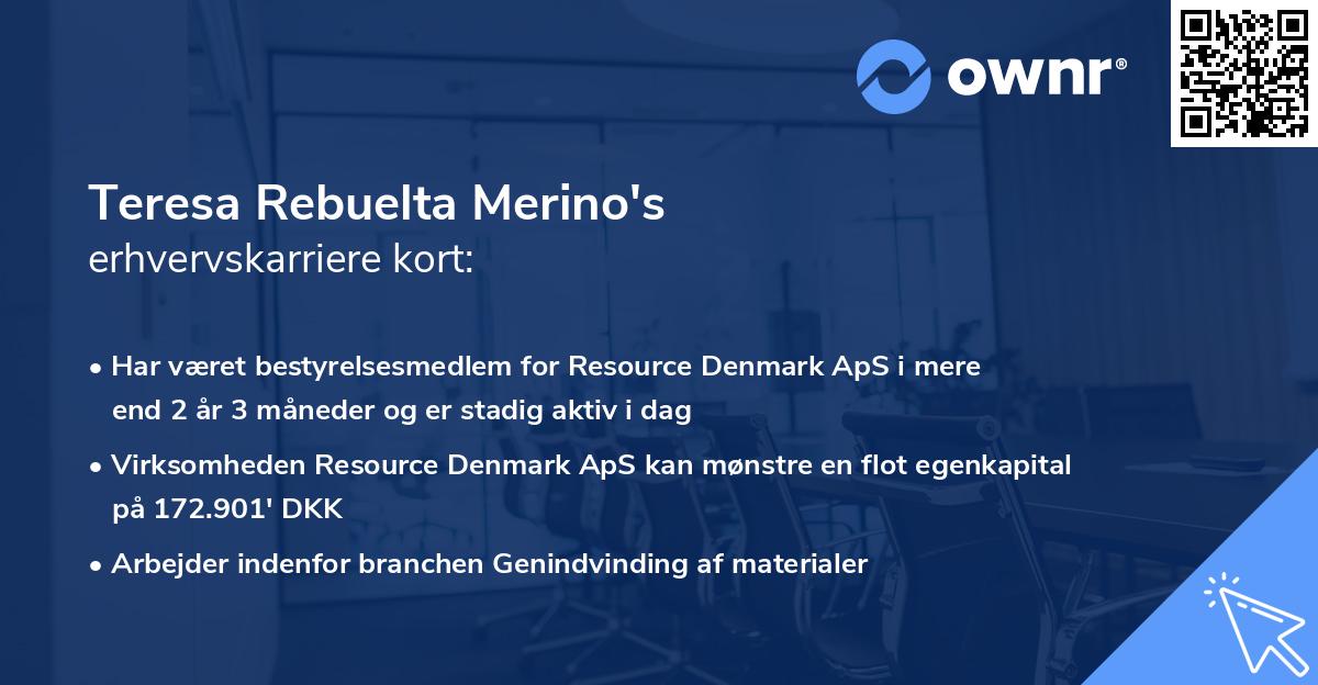 Teresa Rebuelta Merino's erhvervskarriere kort