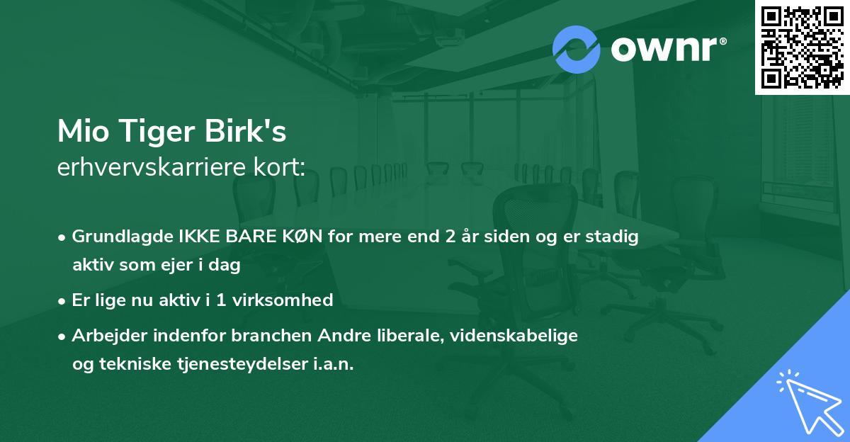 Mio Tiger Birk's erhvervskarriere kort
