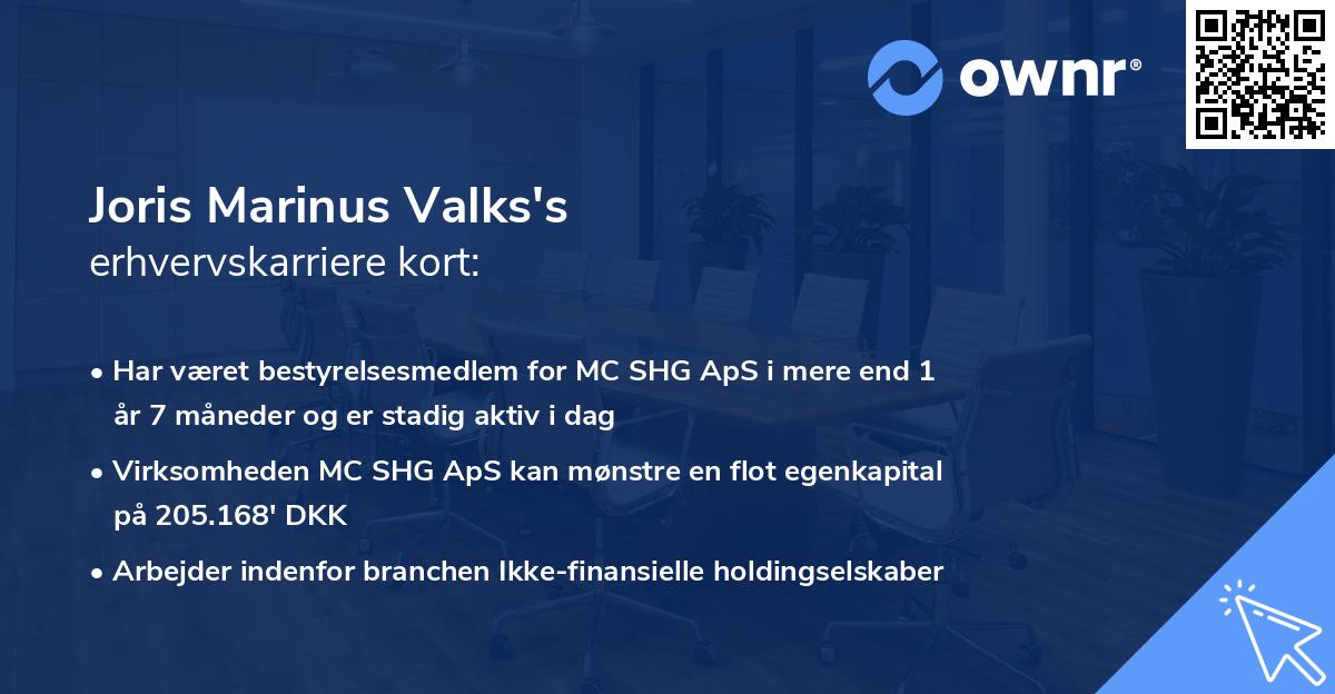 Joris Marinus Valks's erhvervskarriere kort