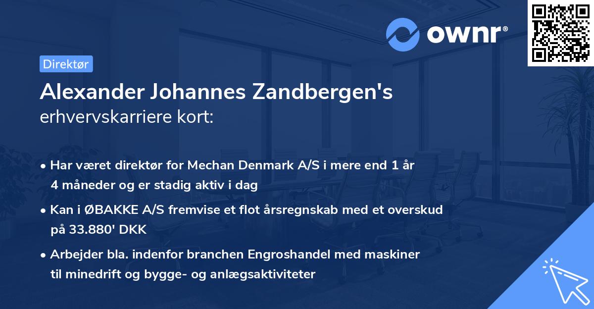 Alexander Johannes Zandbergen's erhvervskarriere kort