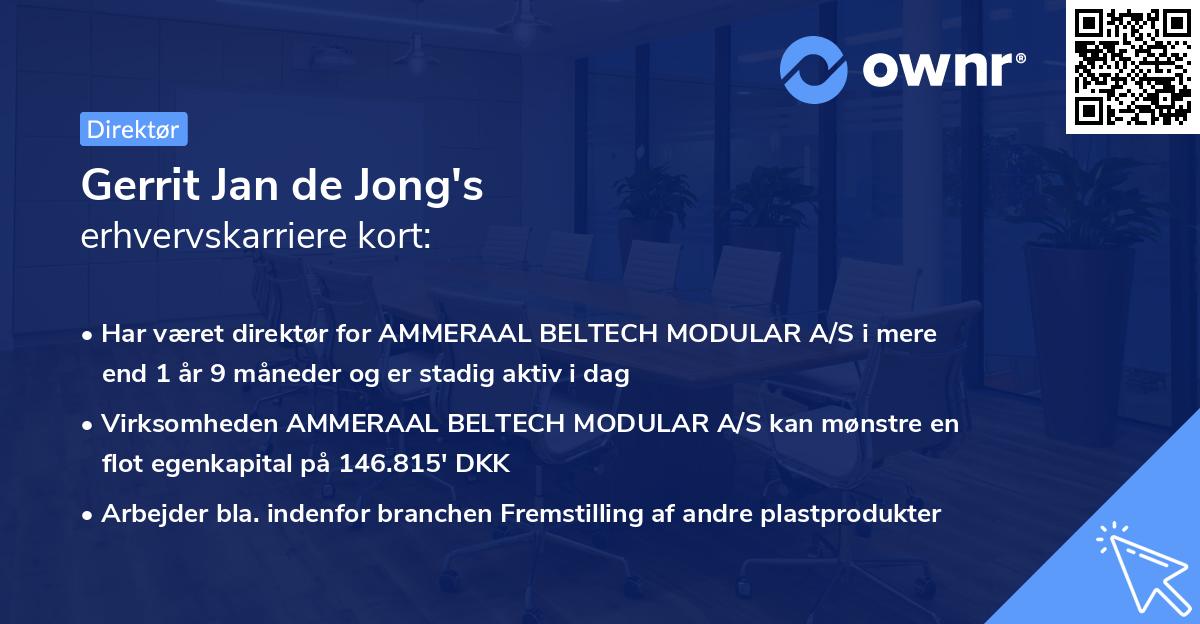 Gerrit Jan de Jong's erhvervskarriere kort