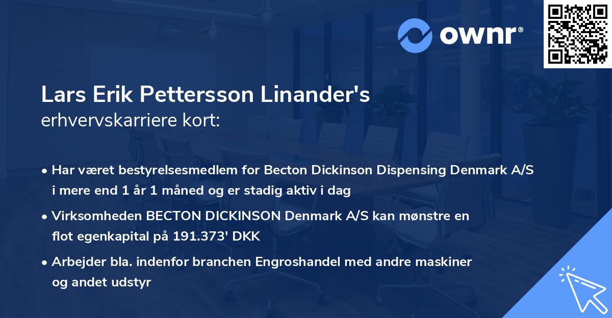 Lars Erik Pettersson Linander's erhvervskarriere kort
