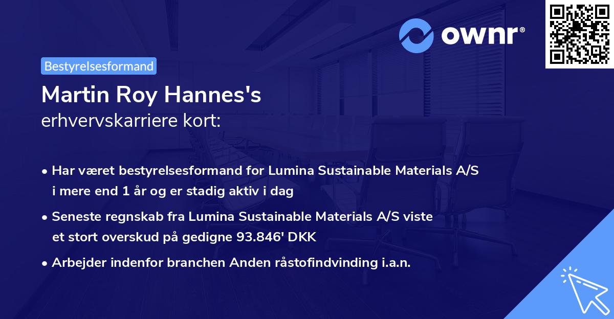 Martin Roy Hannes's erhvervskarriere kort