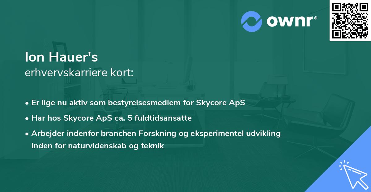 Ion Hauer's erhvervskarriere kort