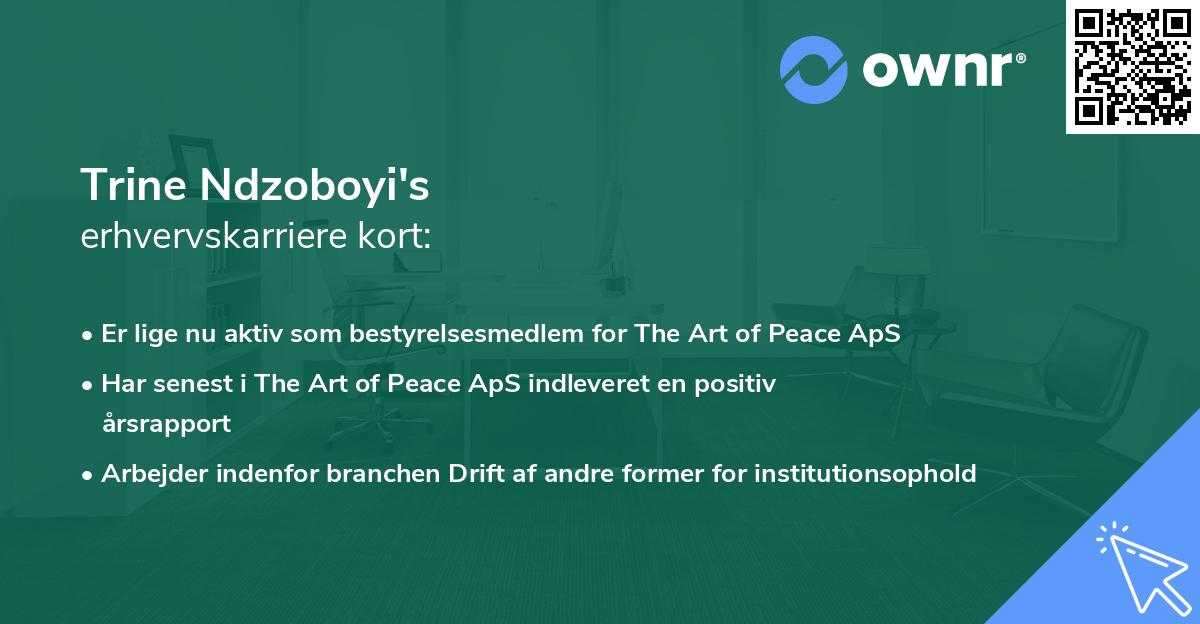 Trine Ndzoboyi's erhvervskarriere kort
