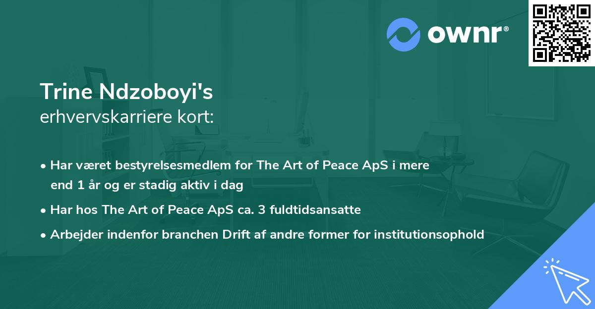 Trine Ndzoboyi's erhvervskarriere kort