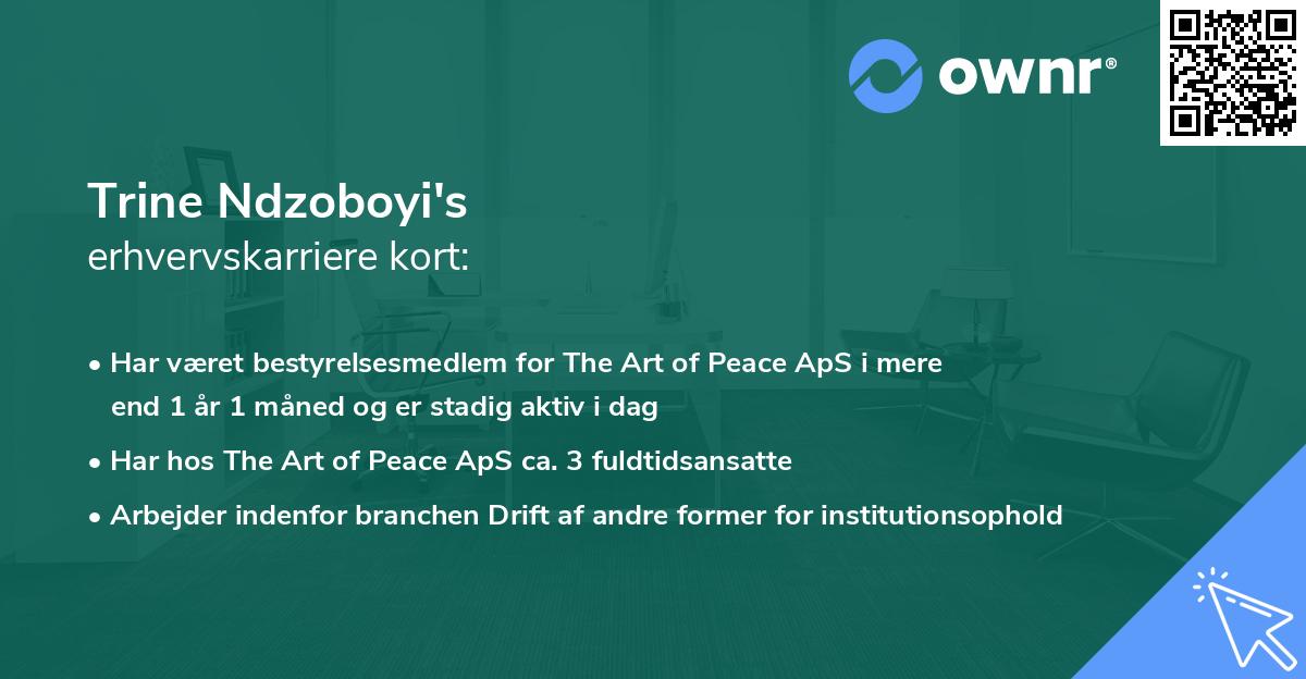 Trine Ndzoboyi's erhvervskarriere kort