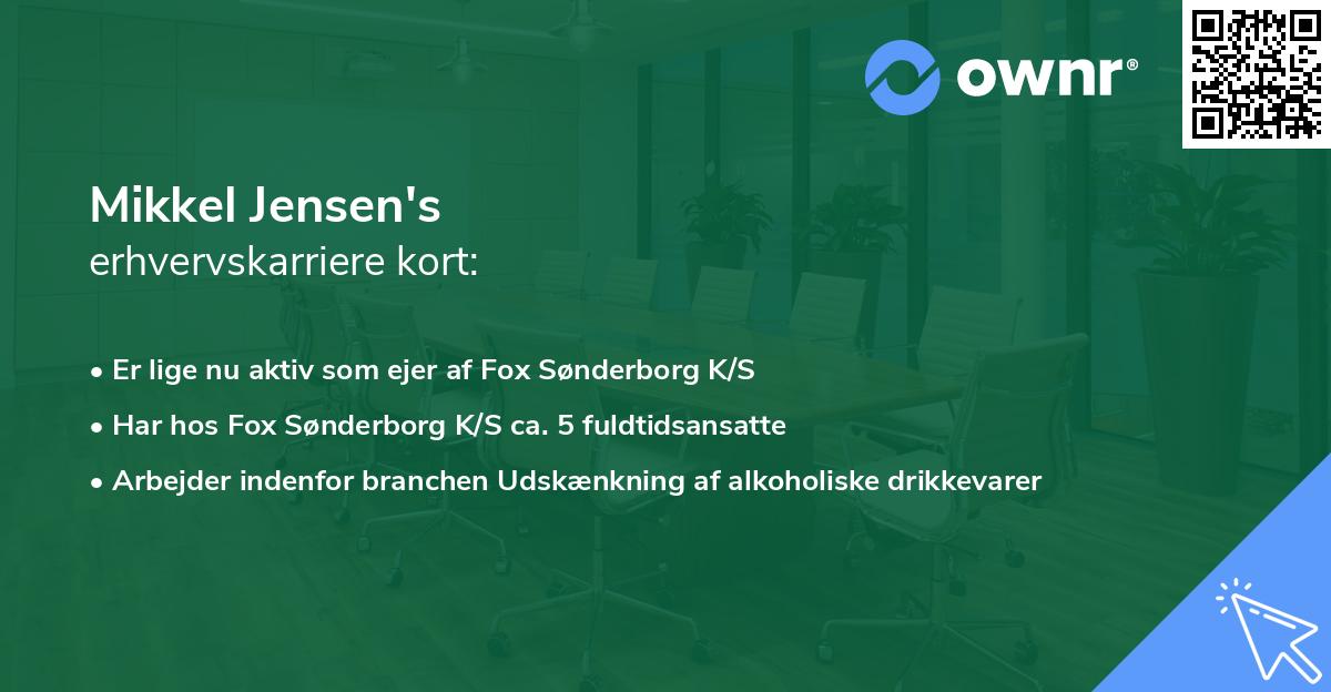 Mikkel Jensen's erhvervskarriere kort