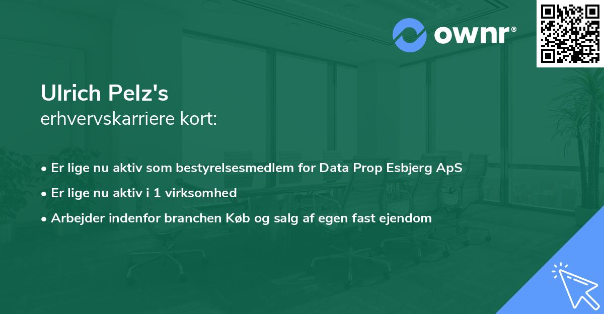 Ulrich Pelz's erhvervskarriere kort
