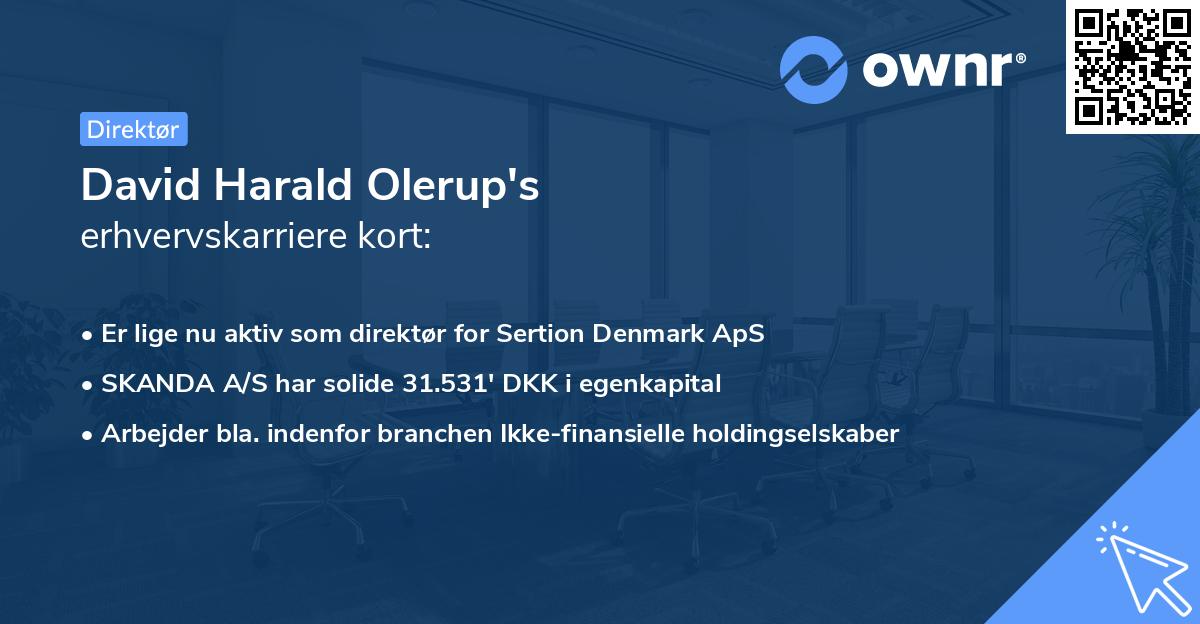 David Harald Olerup's erhvervskarriere kort