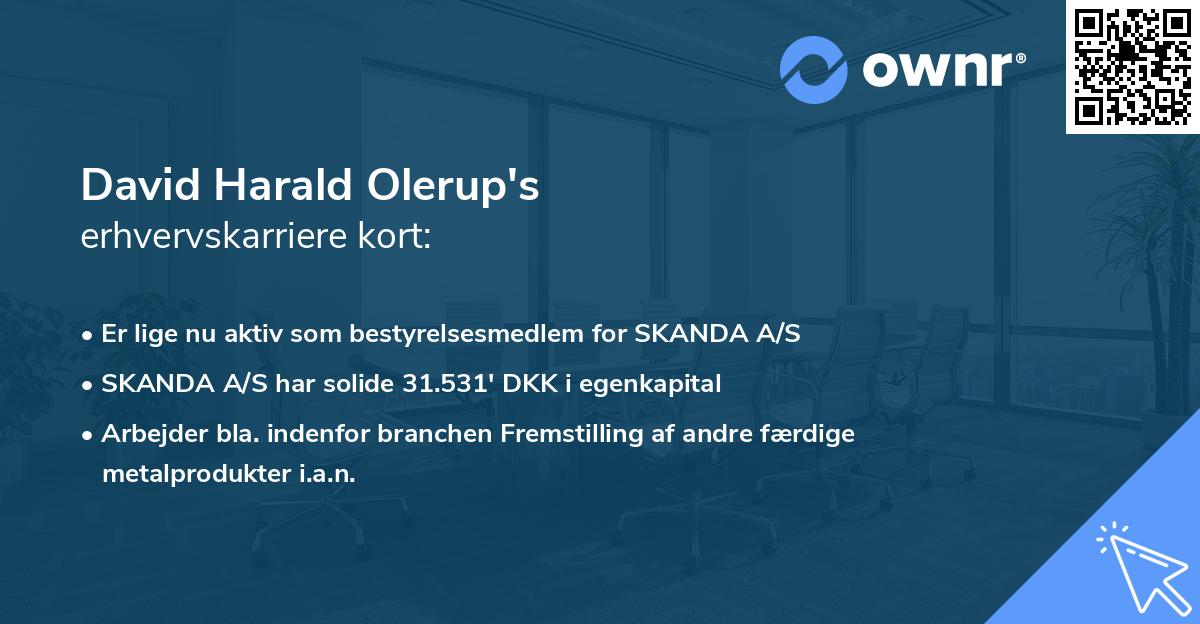 David Harald Olerup's erhvervskarriere kort