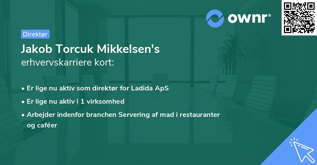Jakob Torcuk Mikkelsen's erhvervskarriere kort