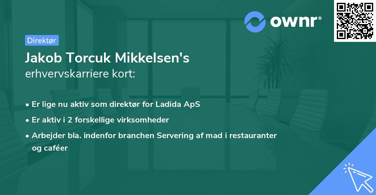 Jakob Torcuk Mikkelsen's erhvervskarriere kort