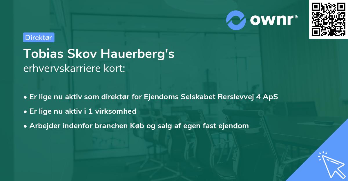 Tobias Skov Hauerberg's erhvervskarriere kort