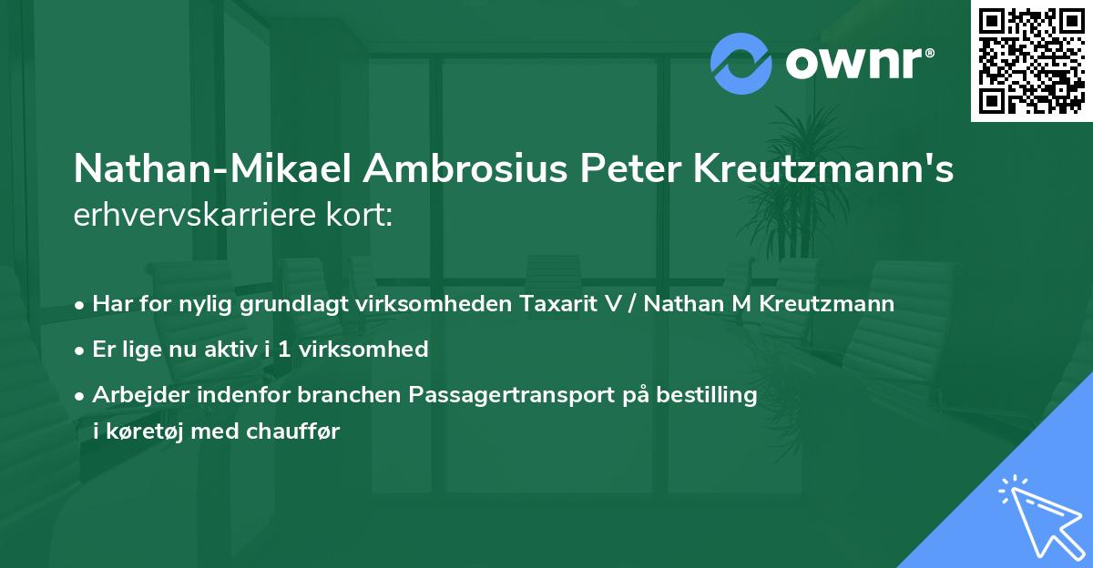 Nathan-Mikael Ambrosius Peter Kreutzmann's erhvervskarriere kort