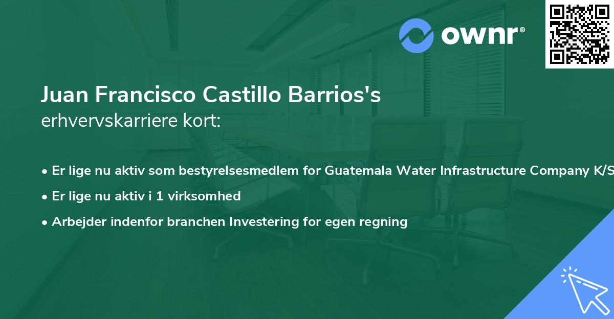 Juan Francisco Castillo Barrios's erhvervskarriere kort