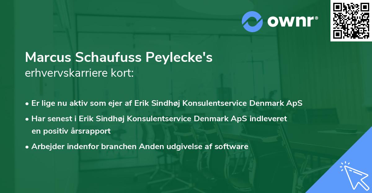 Marcus Schaufuss Peylecke's erhvervskarriere kort