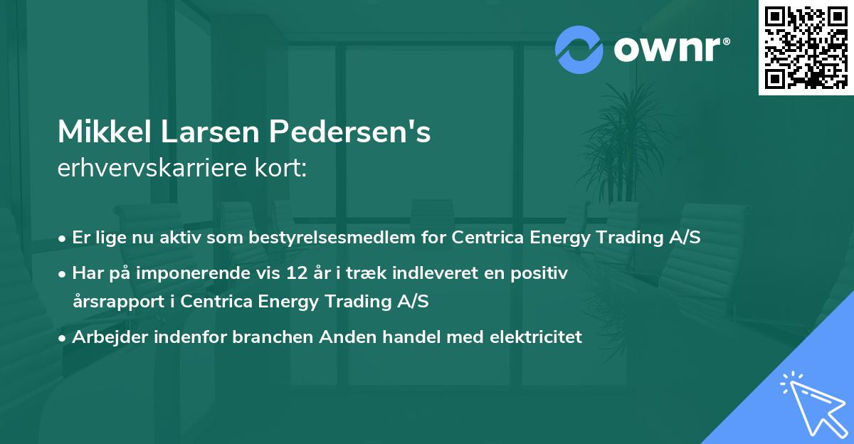 Mikkel Larsen Pedersen's erhvervskarriere kort