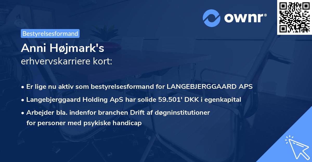 Anni Højmark's erhvervskarriere kort