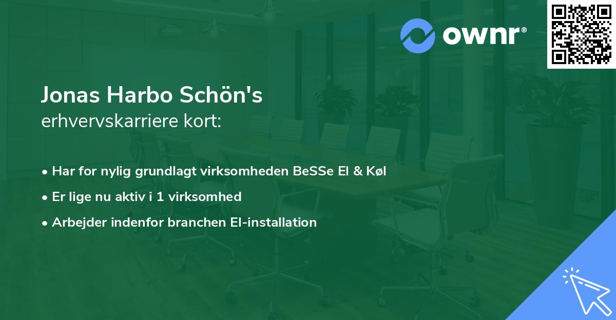 Jonas Harbo Schön's erhvervskarriere kort
