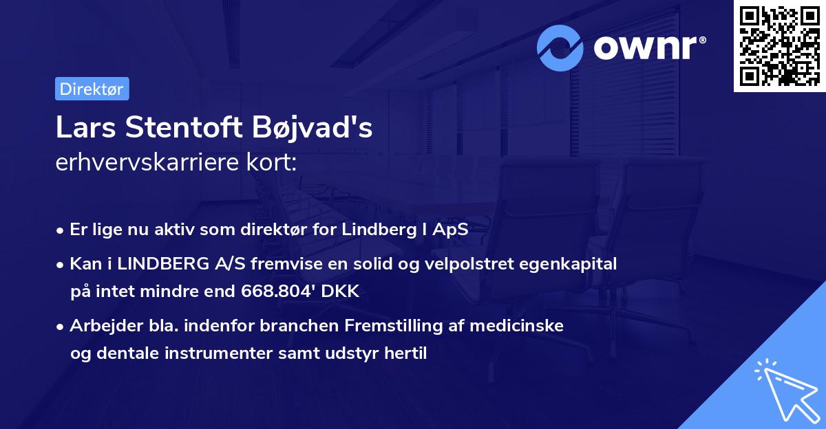 Lars Stentoft Bøjvad's erhvervskarriere kort