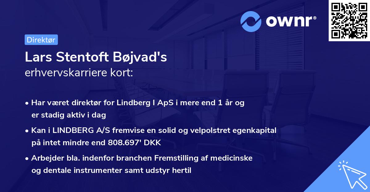 Lars Stentoft Bøjvad's erhvervskarriere kort